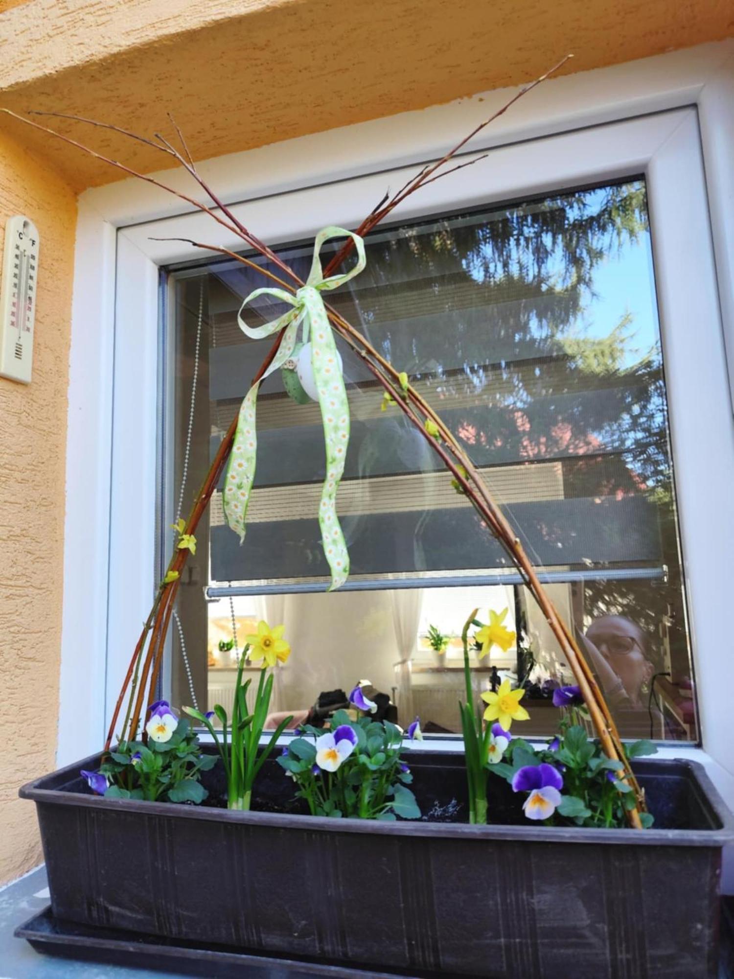 Apartman Terezka Jílové المظهر الخارجي الصورة